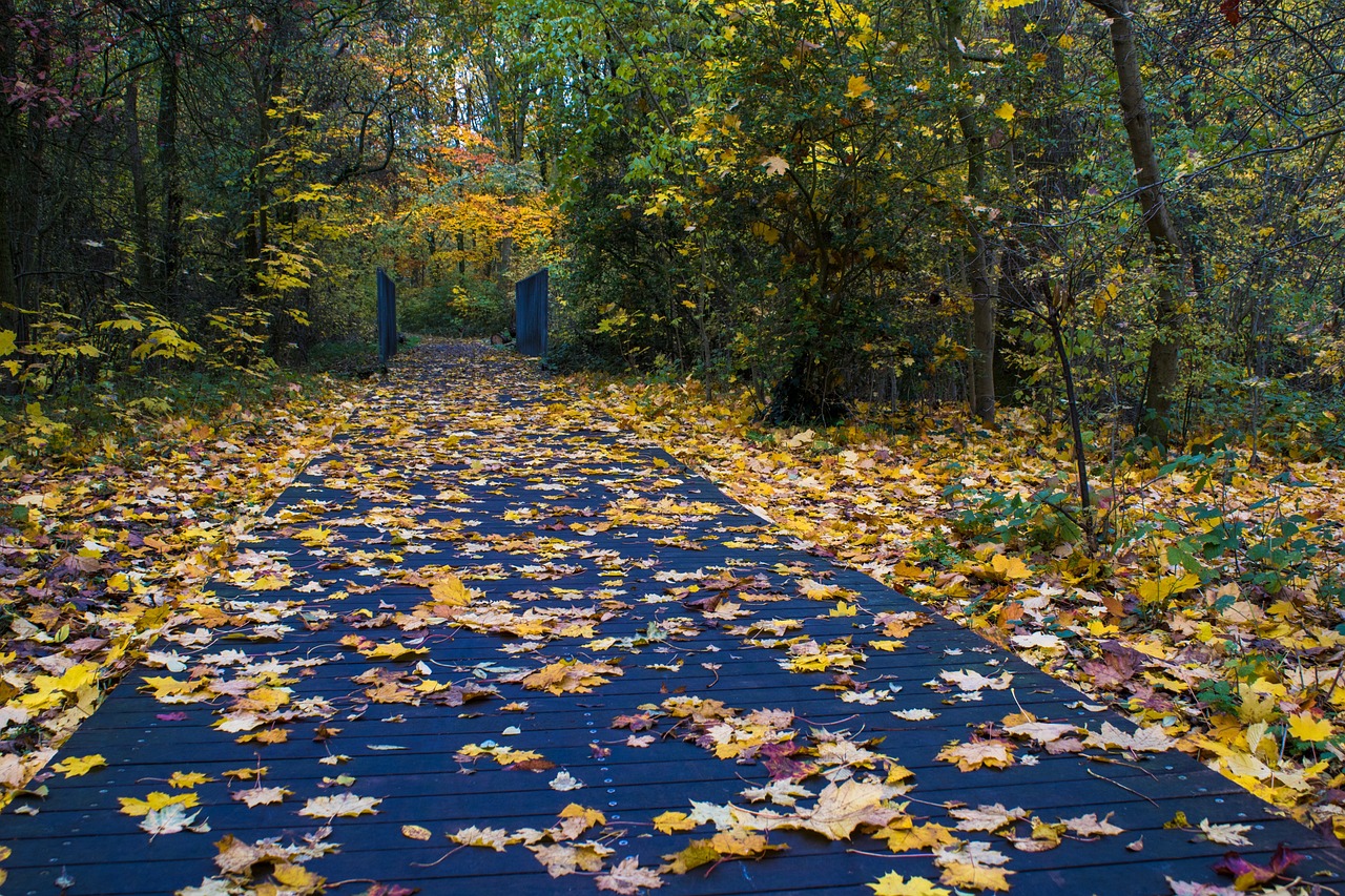 vremea in delta dunarii in octombrie