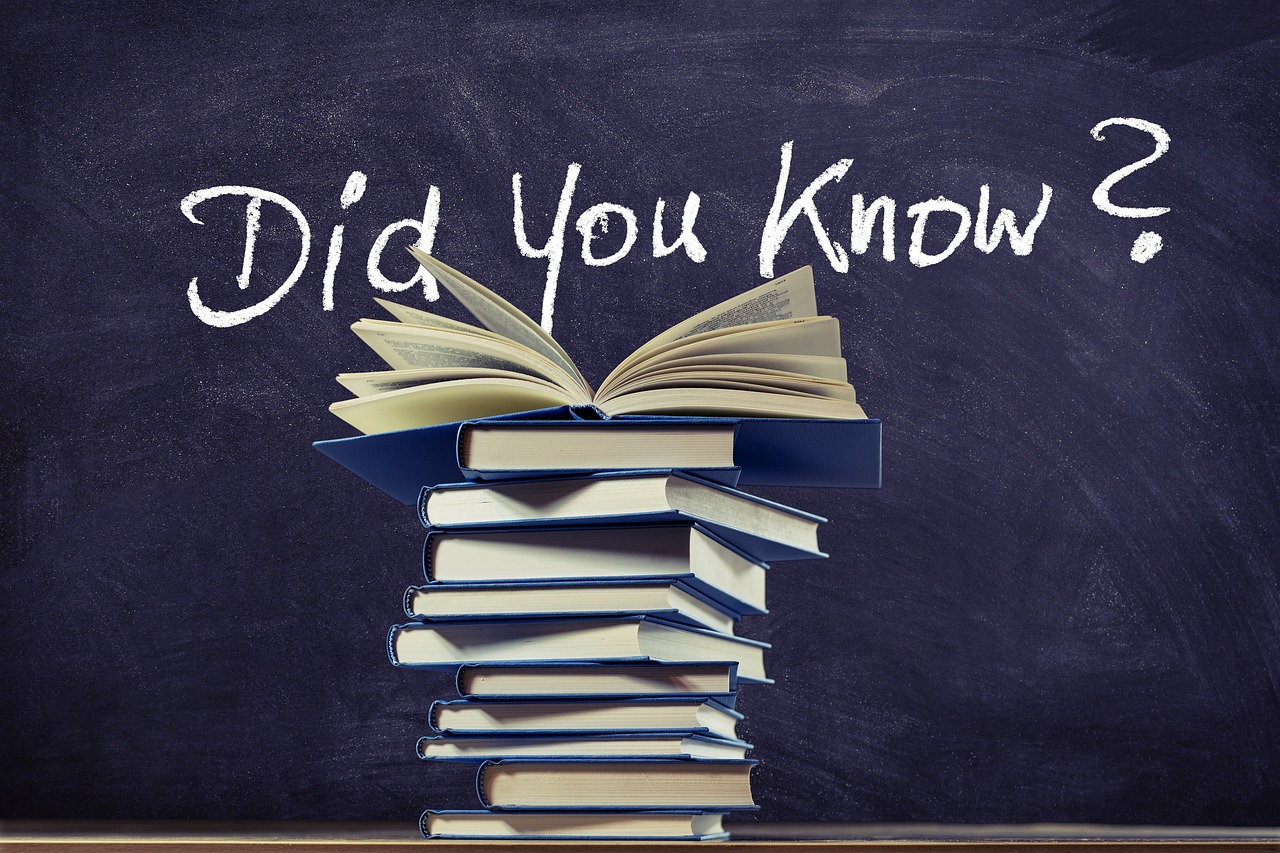 lee dong wook squid game