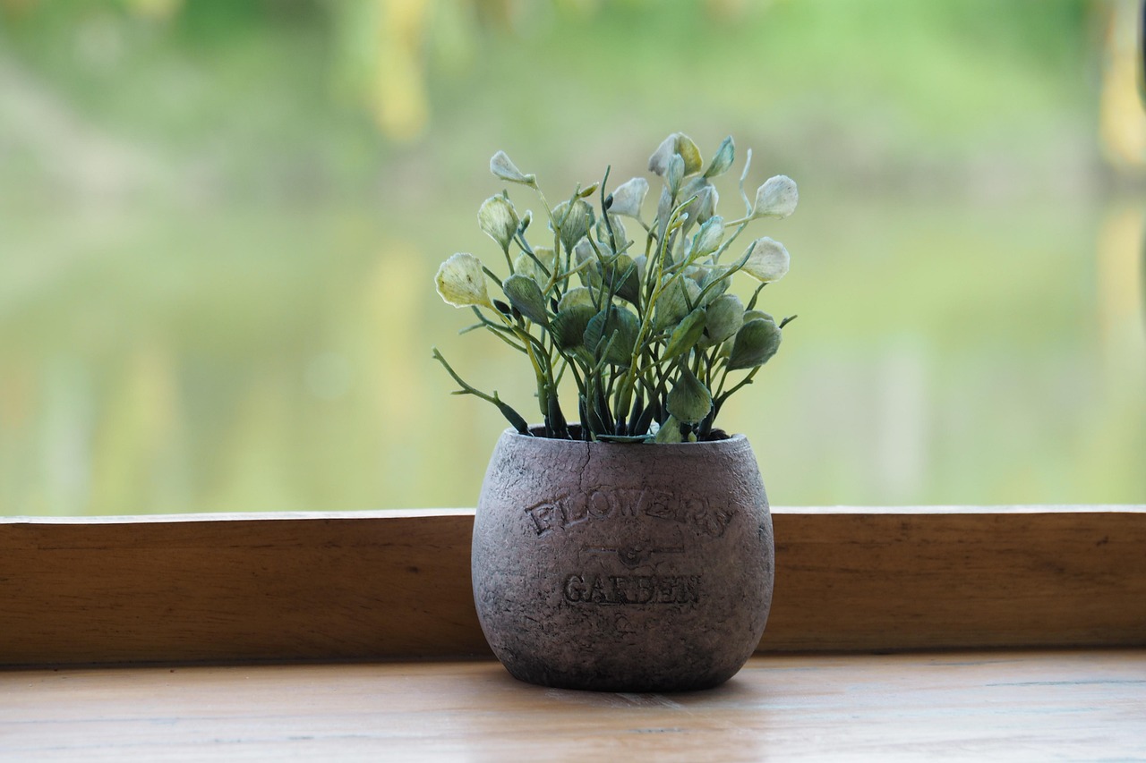 ce facem cu tijele de la orhidee